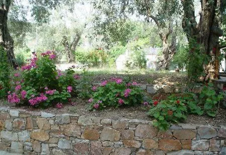 Maison d'hôtes Pansion Prodromina Skopelos