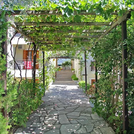 Maison d'hôtes Pansion Prodromina *