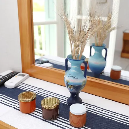 Pansion Prodromina 3*