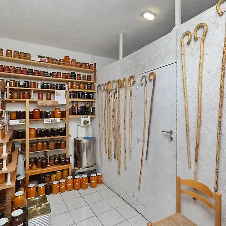 Pansion Prodromina