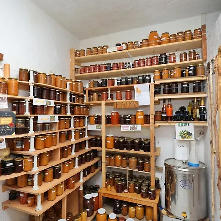 προδρομίνα Πανσιόν Σκόπελος