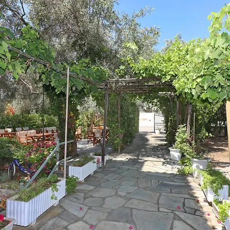 προδρομίνα 3* Σκόπελος