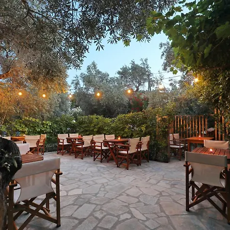 προδρομίνα 3*