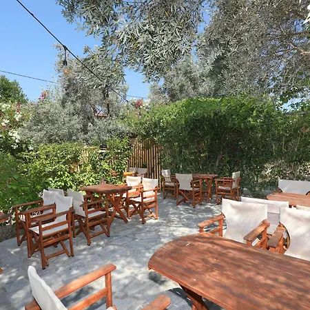 προδρομίνα 3*