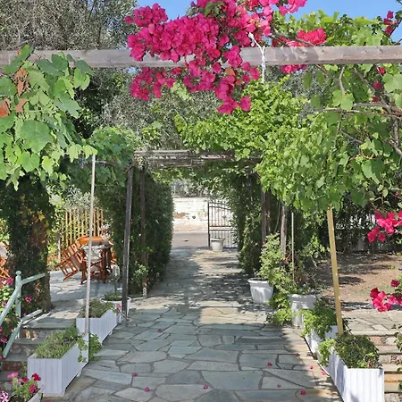 Πανσιόν προδρομίνα