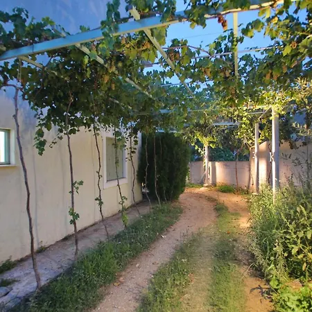 Maison d'hôtes Pansion Prodromina