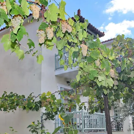 προδρομίνα Πανσιόν Σκόπελος