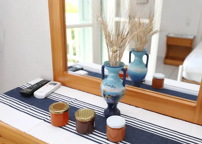 Pansion Prodromina 3*