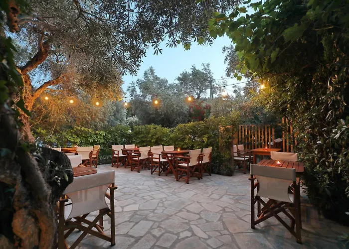 Pansion Prodromina 3*