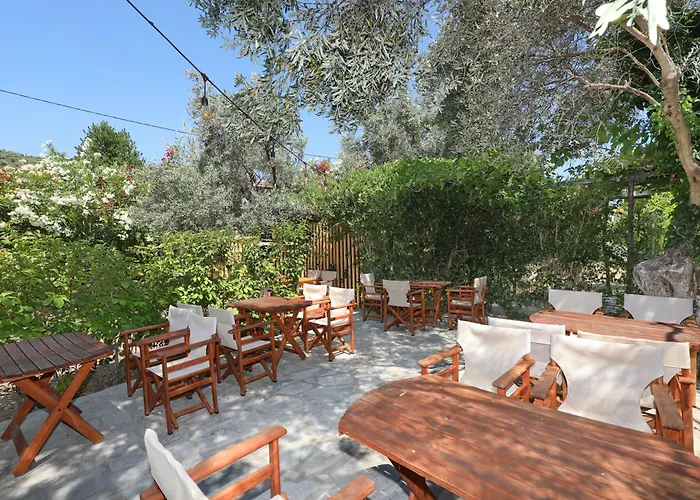 Pansion Prodromina 3*