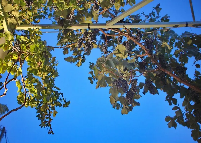 Pansion Prodromina Vendégház