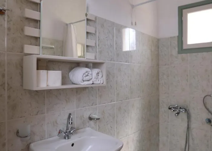 Pansion Prodromina 3*